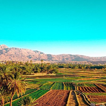 Riad Al Anwar تنغير المظهر الخارجي الصورة