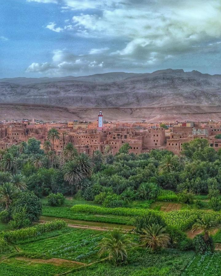 Riad Al Anwar تنغير المظهر الخارجي الصورة