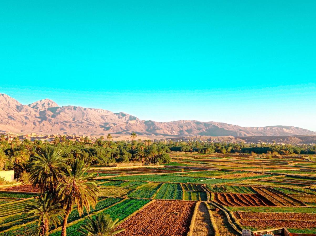 Riad Al Anwar تنغير المظهر الخارجي الصورة