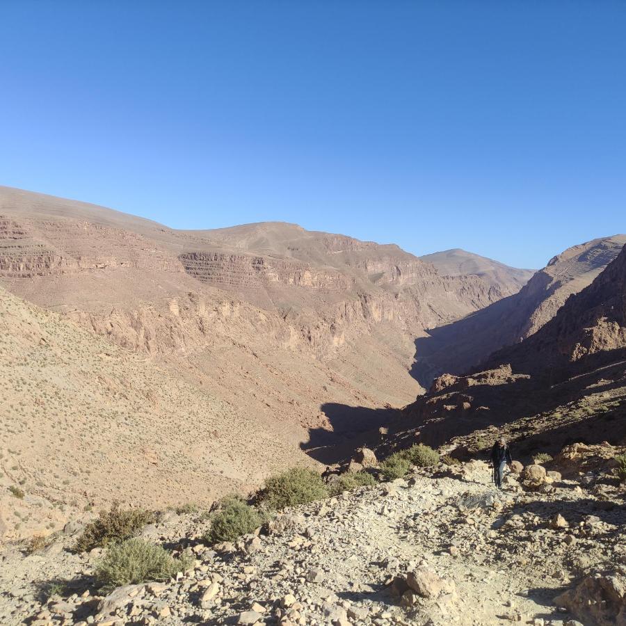 Riad Al Anwar تنغير المظهر الخارجي الصورة