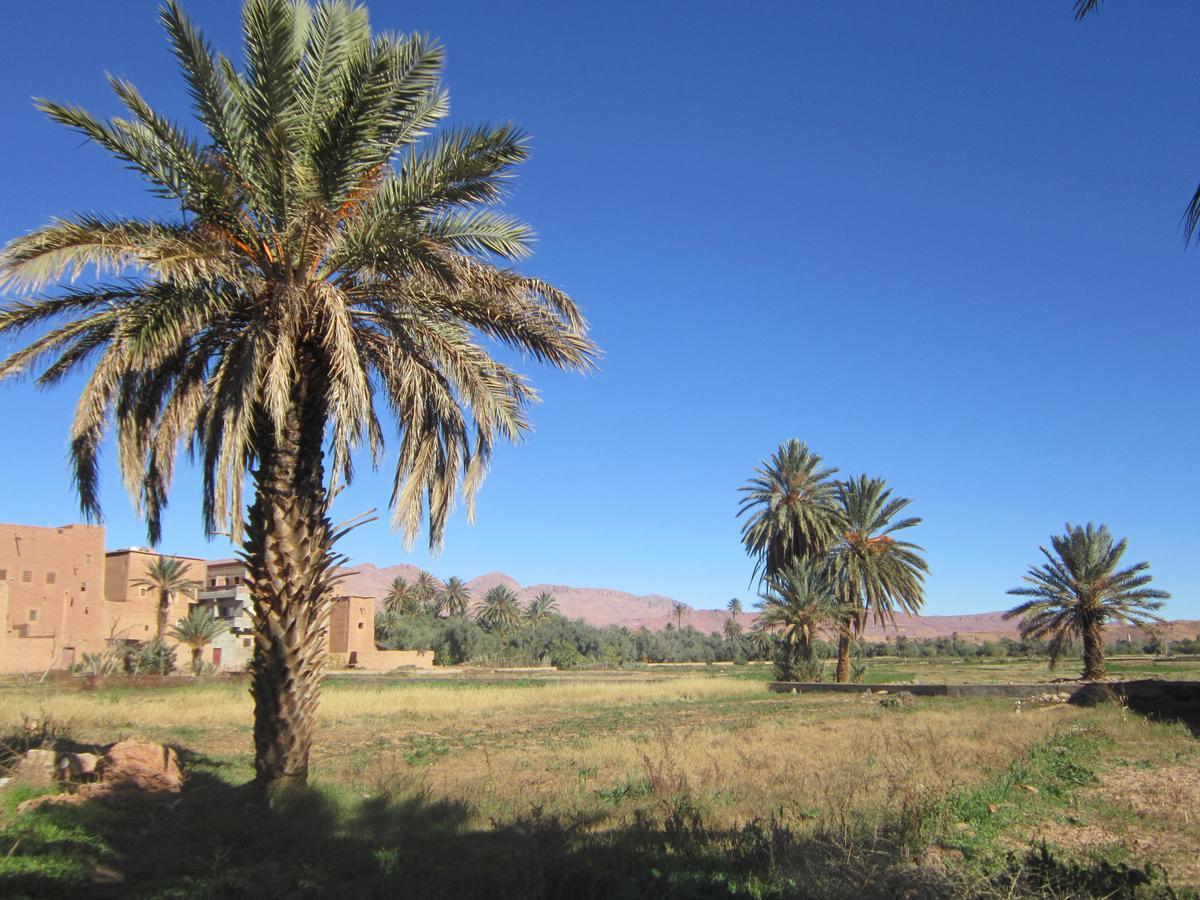 Riad Al Anwar تنغير المظهر الخارجي الصورة