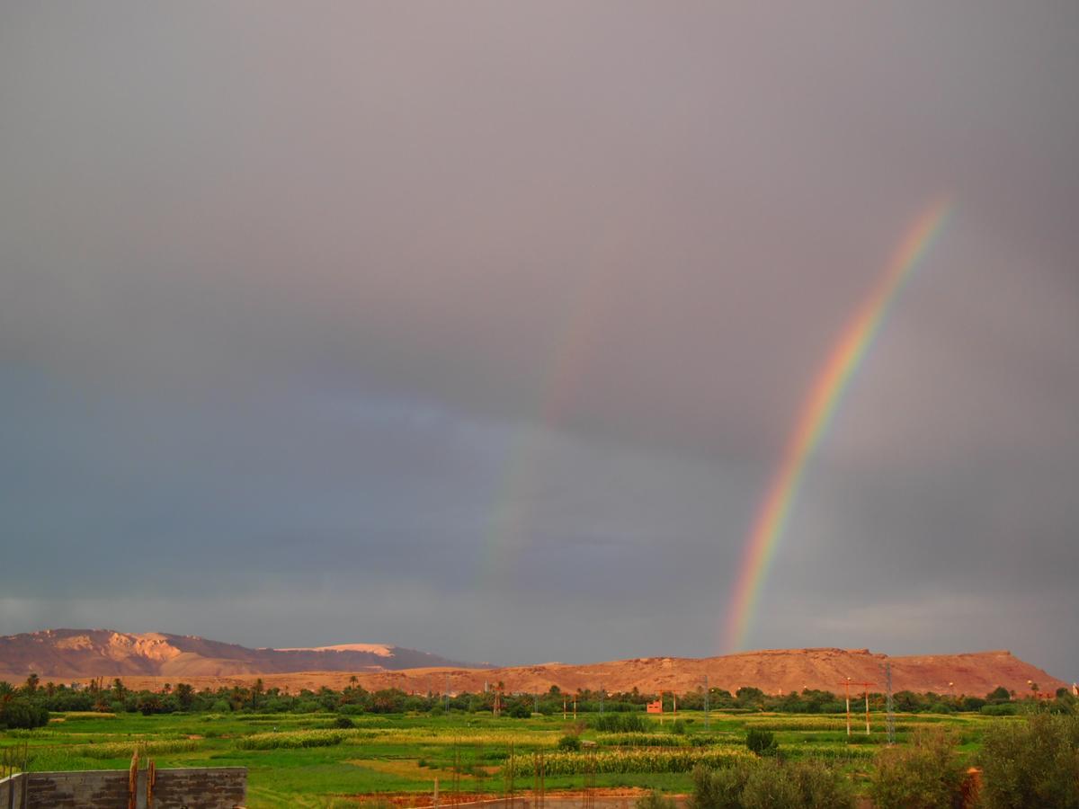 Riad Al Anwar تنغير المظهر الخارجي الصورة