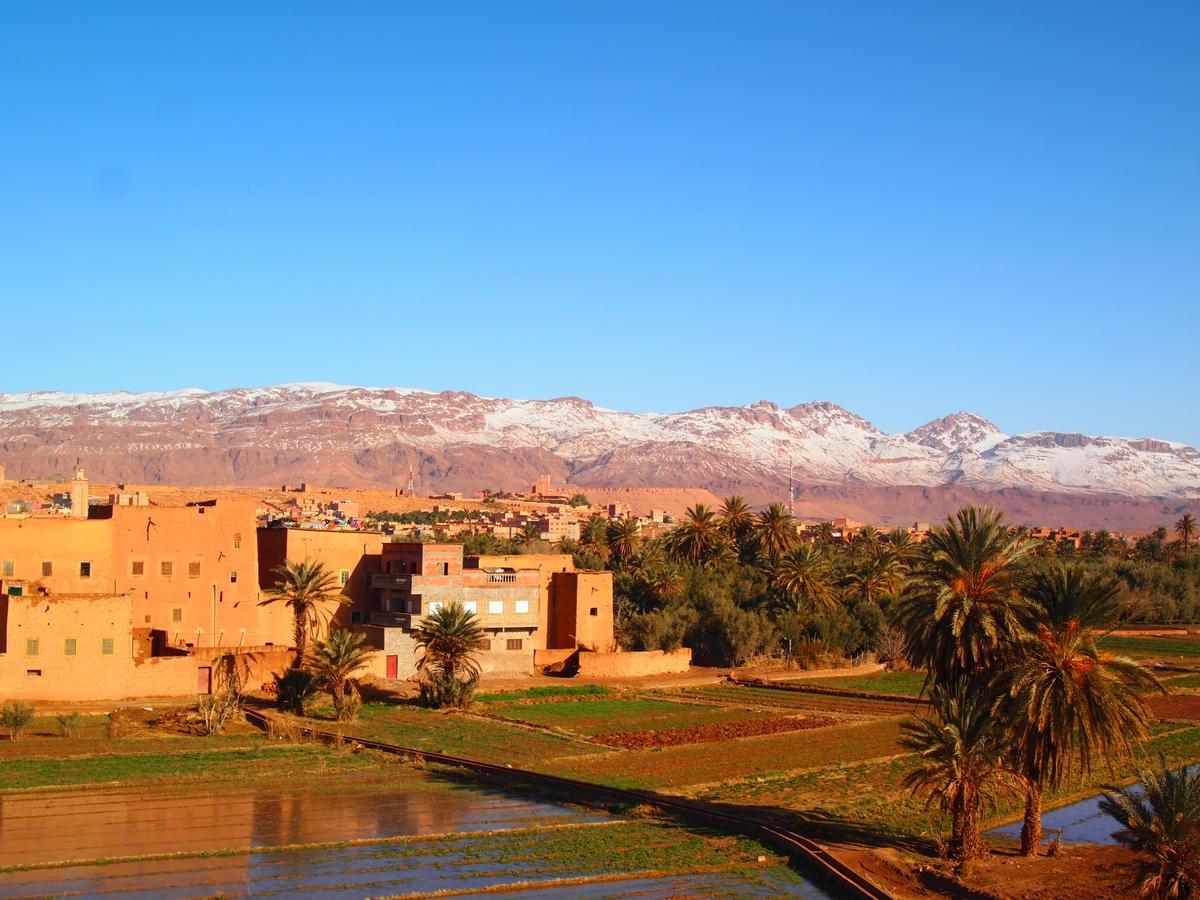 Riad Al Anwar تنغير المظهر الخارجي الصورة